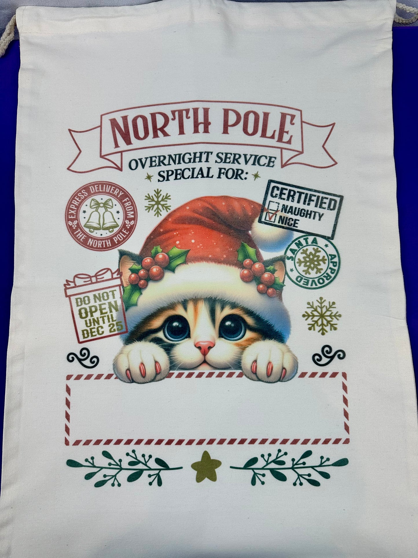 Santa Bag - Kitten